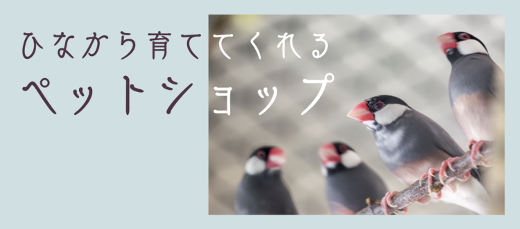 ひなから育ててくれるペットショップ